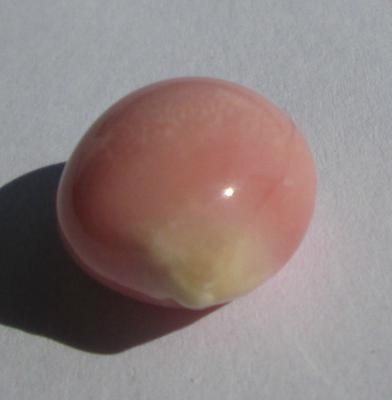 9.25 ct conch pearl with flame