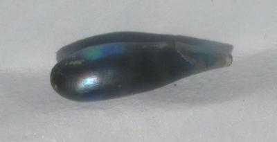 0.40 carat Iridescent Bluish Abalone Pearl for Sale
