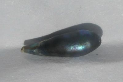 0.40 carat Iridescent Bluish Abalone Pearl for Sale