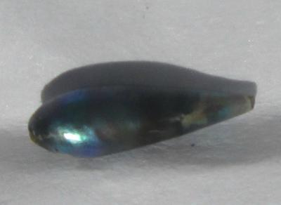 0.40 carat Iridescent Bluish Abalone Pearl for Sale