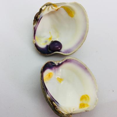 9mm Dark Purple Quahog Pearl for Sale with Original Shell