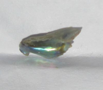 9mm Iridescent Abalone Pearl for Sale