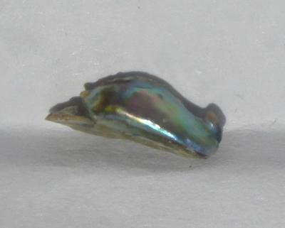 9mm Iridescent Abalone Pearl for Sale