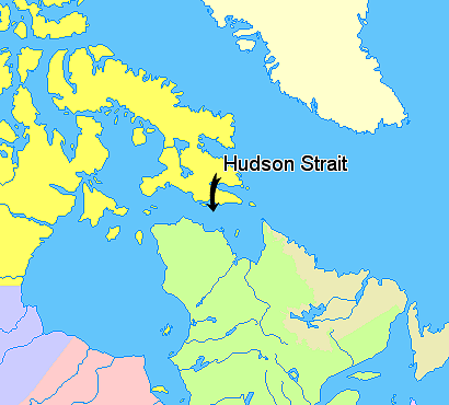 Blue Mussel Pearl from Hudson Strait in Northern Quebec Blue Mussel Pearl from Hudson Strait in Northern Quebec