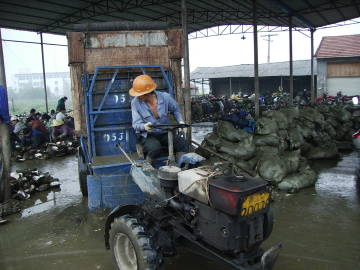 PEARL-HARVESTING-TRACTOR