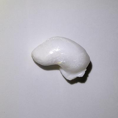 A Baroque Clam Pearl with Flame 20 ct