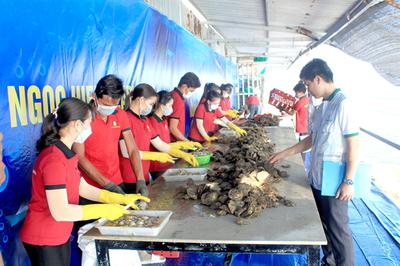 Workers swiftly open oysters freshly harvested from the sea.