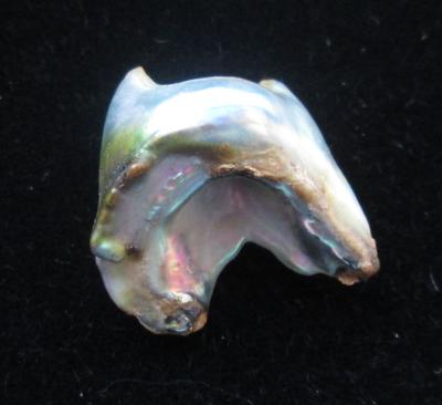 Abalone Pearl 17mm with Iridescence 11+ carats
