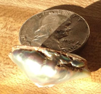 42 carat abalone pearl