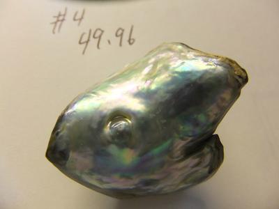 Abalone Pearl 49.96ct