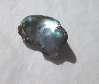 Abalone pearl Bluish Iridescence 10 carats