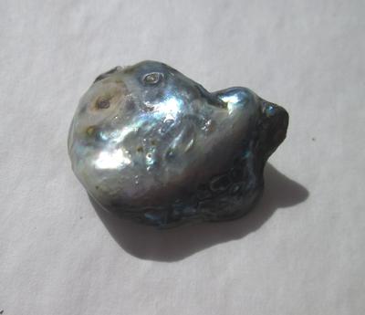 Abalone pearl Bluish Iridescence 10 carats