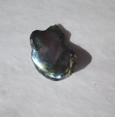 Abalone pearl Bluish Iridescence 10 carats