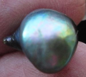 Abalone Pearl High Iridescence 15mm 7+ carats