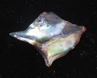 Abalone Pearl Iridescence 32mm 13+ carats