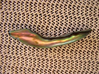 75x15mm 13 grams Abalone Pearl