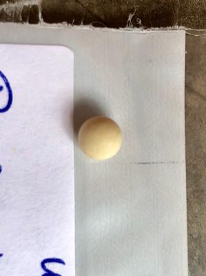 Abalone Pearl Near Round 4+mm .79 carats 