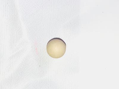 Abalone Pearl Near Round 4+mm .79 carats 