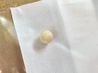 Abalone Pearl Near Round 4+mm Cream GIA certificate .84 carats 