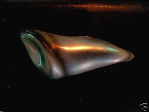 Abalone Pearl Rare Abalone Pearl Rare