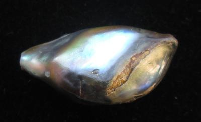 Abalone Pearl with Iridescence 10 carats 24mm