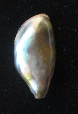 Abalone Pearl with Iridescence 10 carats 4mm