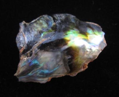 Abalone Pearl with Iridescence 22mm 10+ carats
