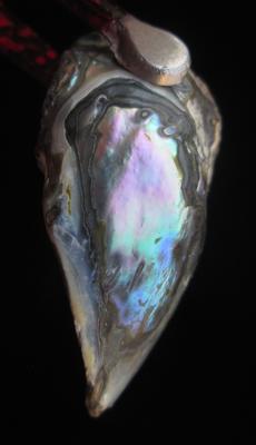 Abalone Pearl with Iridescence 31mm 21+ carats