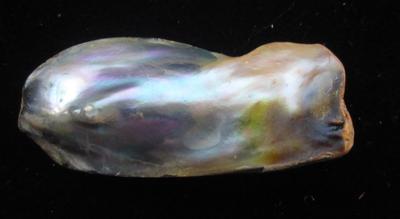 Abalone Pearl 29+mm with Iridescence