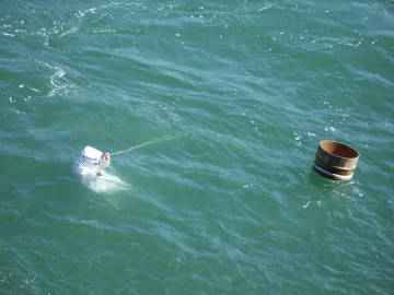 Ama Pearl Diver in Water (photo by Kari)