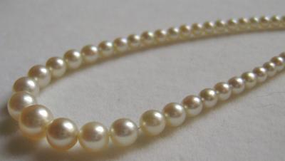 Natural Saltwater Pearl Necklace