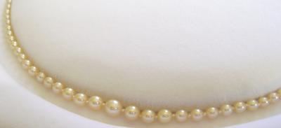 Antique Natural Saltwater Pearl Necklace, Large Platinum Diamond Clasp
