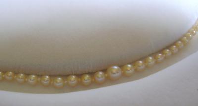 Antique Natural Saltwater Pearl Necklace, Platinum 10-Diamond Clasp