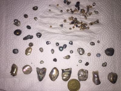 AUSTRALIAN ABALONE PEARLS