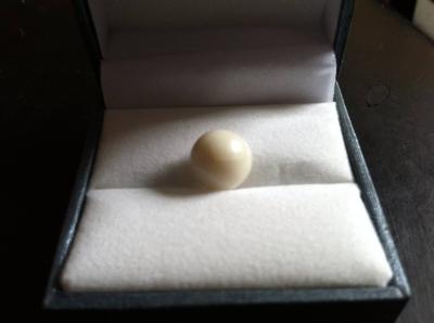 Authentic & Amazing White Quahog Pearl