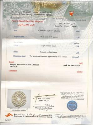 Certificate of Authenticity