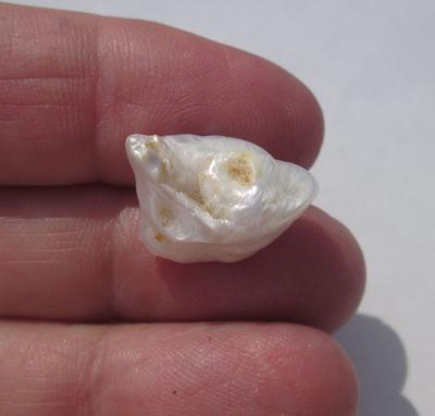 Baroque 11+ carat USA Natural Freshwater Pearl