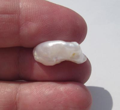 Baroque 11+ carat USA Natural Freshwater Pearl