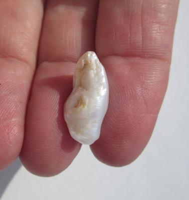 Baroque 11+ carat USA Natural Freshwater Pearl