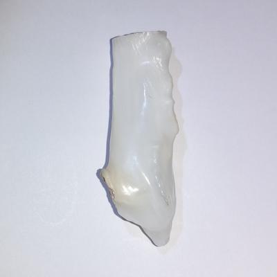 Baroque Clam Blister 82 ct