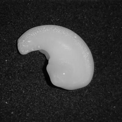 Baroque Clam Pearl 10.5 ct with Flame