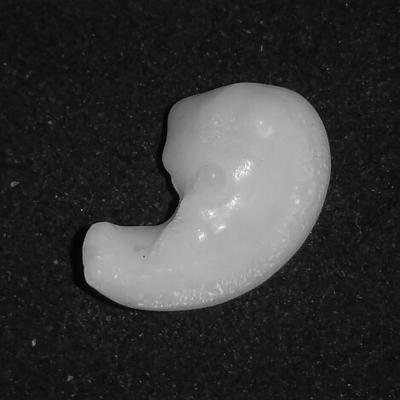 Baroque Clam Pearl 10.5 ct with Flame