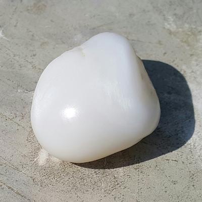 Baroque Clam Pearl 111 ct