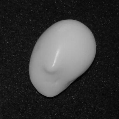 Baroque Clam Pearl 17.4 ct