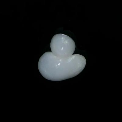 Baroque Clam Pearl 8.2 ct Interesting Shape with Flame 