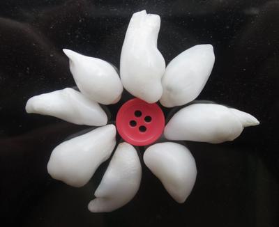 Baroque Clam Pearl Brooch Potential 68+ carats - Total