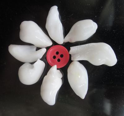 Baroque Clam Pearl Brooch Potential 68+ carats - Total