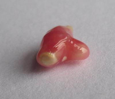 Baroque Dark Pink Conch Pearl Unique Shape