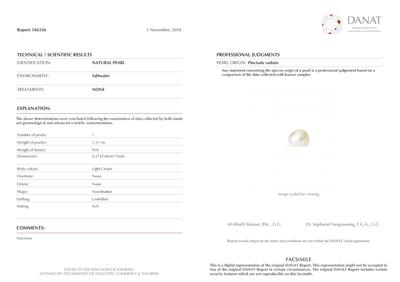 Basra Natural Pearl 1.31 Carat