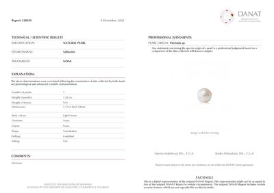 Basra Natural Pearl 1.26 Carat